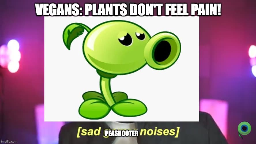 PvZClone Day 3